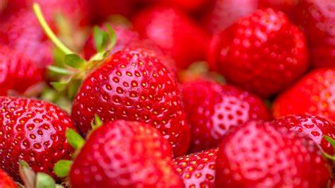 Shape Divider Sample Image